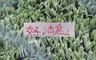 好消息！北京国安10号发文报平安 之前入选5月官方最佳候选人
