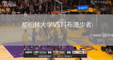 都柏林大学VS科布漫步者