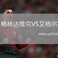 格林达维克VS艾格尔