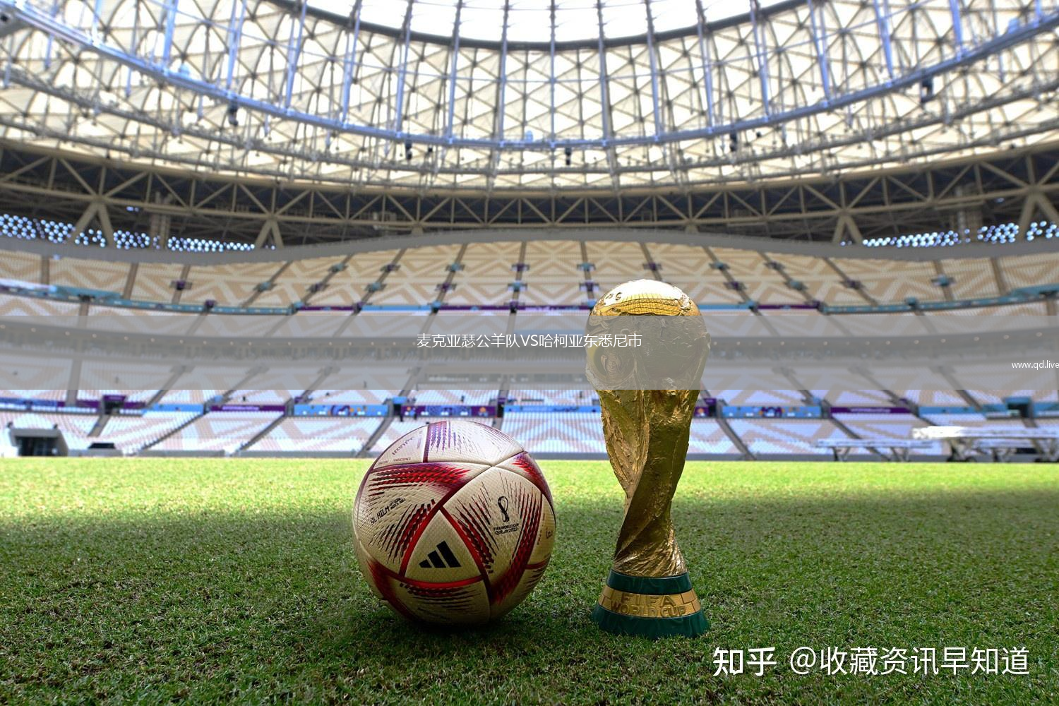 麦克亚瑟公羊队VS哈柯亚东悉尼市