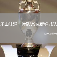乐山味道非常队VS成都锦城队