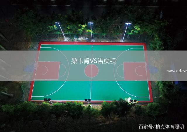 桑韦肯VS诺度顿