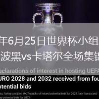 2026年6月25日世界杯小组赛B组第3轮波黑vs卡塔尔全场集锦