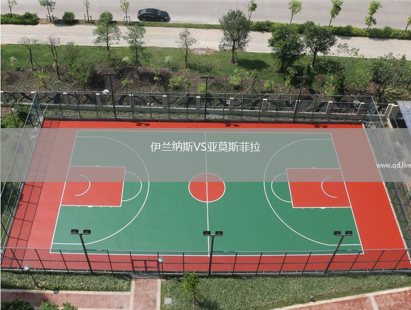伊兰纳斯VS亚莫斯菲拉