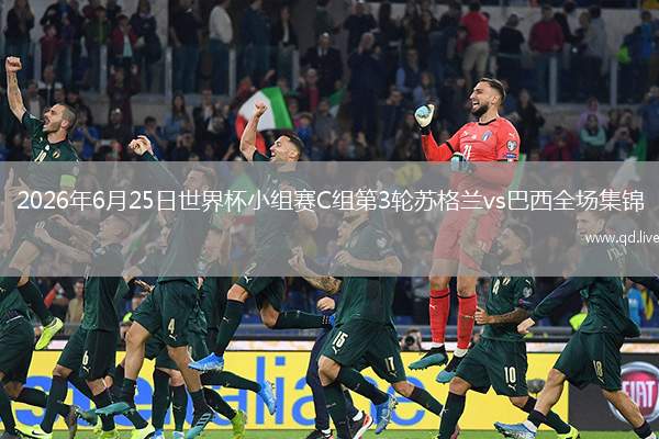2026年6月25日世界杯小组赛C组第3轮苏格兰vs巴西全场集锦