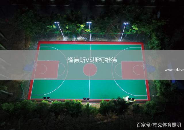 隆德斯VS斯柯维德