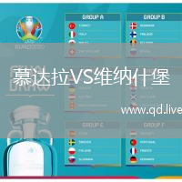 慕达拉VS维纳什堡