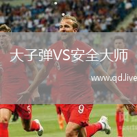 大子弹VS安全大师