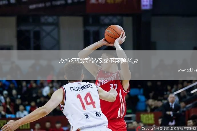杰拉尔顿海盗VS威尔莱顿老虎