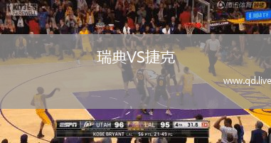 瑞典VS捷克