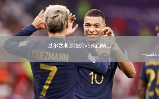 基尔塞斯眼镜蛇VS凯西骑士