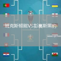 班克斯顿熊VS彭裏斯黑豹