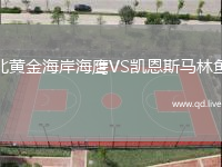 北黄金海岸海鹰VS凯恩斯马林鱼