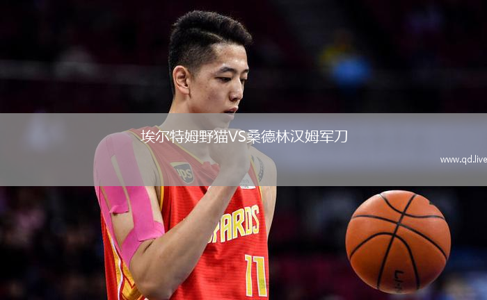 埃尔特姆野猫VS桑德林汉姆军刀