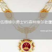 伍德维尔勇士VS森林维尔老鹰