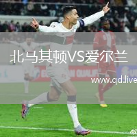 北马其顿VS爱尔兰