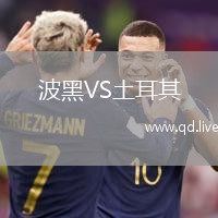 波黑VS土耳其