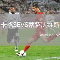 卡格SEVS蒂萨法维斯