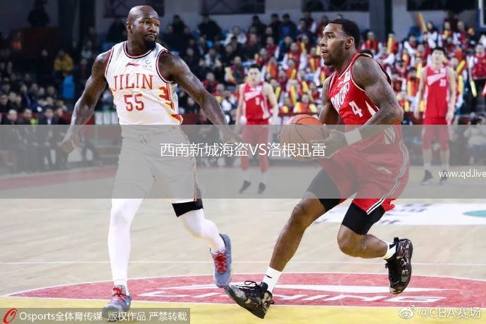 西南新城海盗VS洛根迅雷