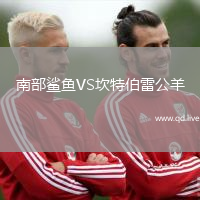 南部鲨鱼VS坎特伯雷公羊
