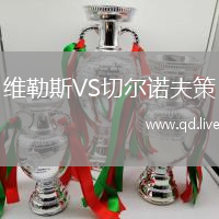 维勒斯VS切尔诺夫策