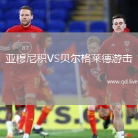 亚穆尼积VS贝尔格莱德游击
