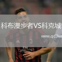 科布漫步者VS科克城