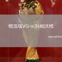 格洛塔VSHK科帕沃格