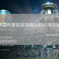 莱茵布里奇足球俱乐部VS希尔城