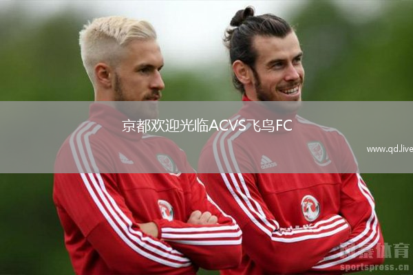 京都欢迎光临ACVS飞鸟FC