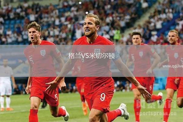 格兰VS米切尔顿