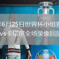 2026年6月25日世界杯小组赛B组第3轮波黑vs卡塔尔全场录像回放