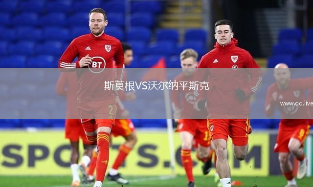 斯莫根VS沃尔纳平斯克