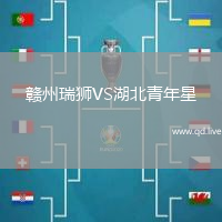 赣州瑞狮VS湖北青年星