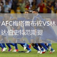 AFC梅塔鲁布佐VS林达伯史特范斯提
