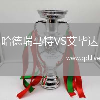 哈德瑞马特VS艾毕达