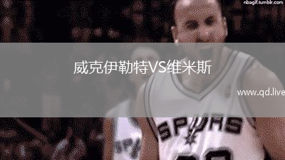 威克伊勒特VS维米斯