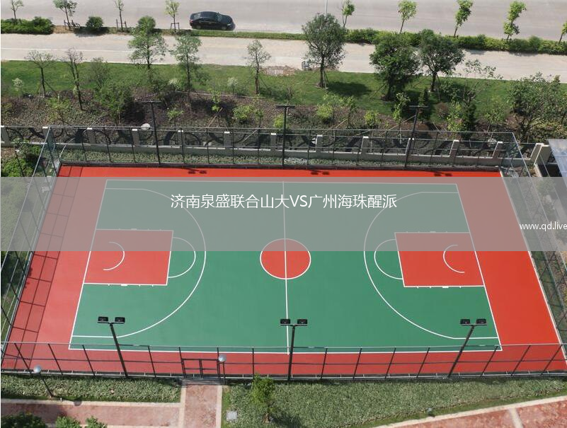 济南泉盛联合山大VS广州海珠醒派