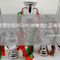 法西尔凯内马VS埃塞俄比亚保险