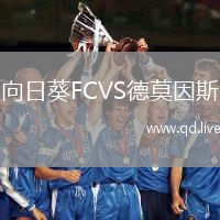 向日葵FCVS德莫因斯