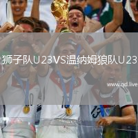 狮子队U23VS温纳姆狼队U23