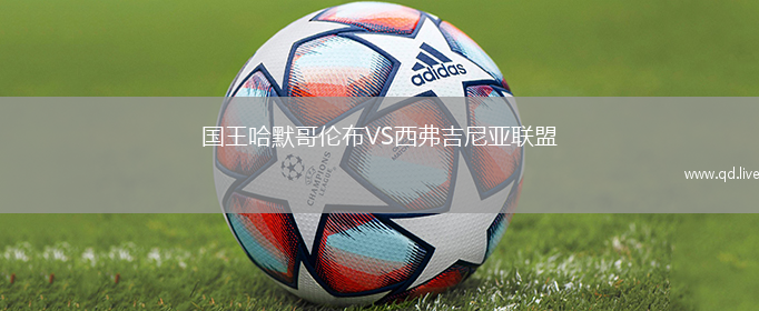 国王哈默哥伦布VS西弗吉尼亚联盟