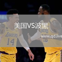 美国VS波黑