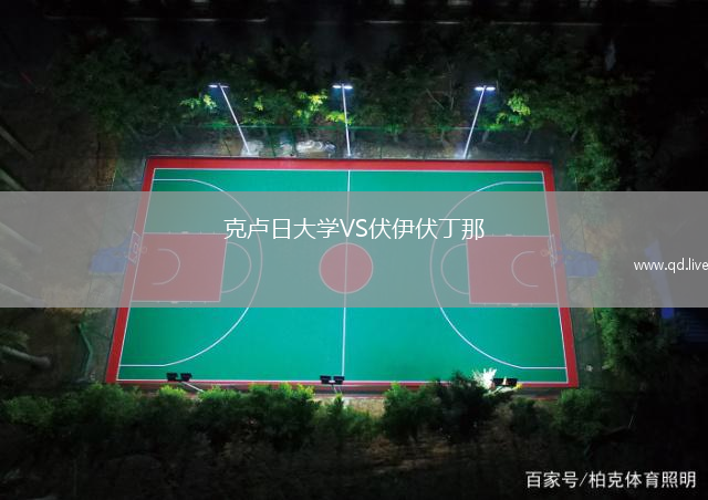 克卢日大学VS伏伊伏丁那