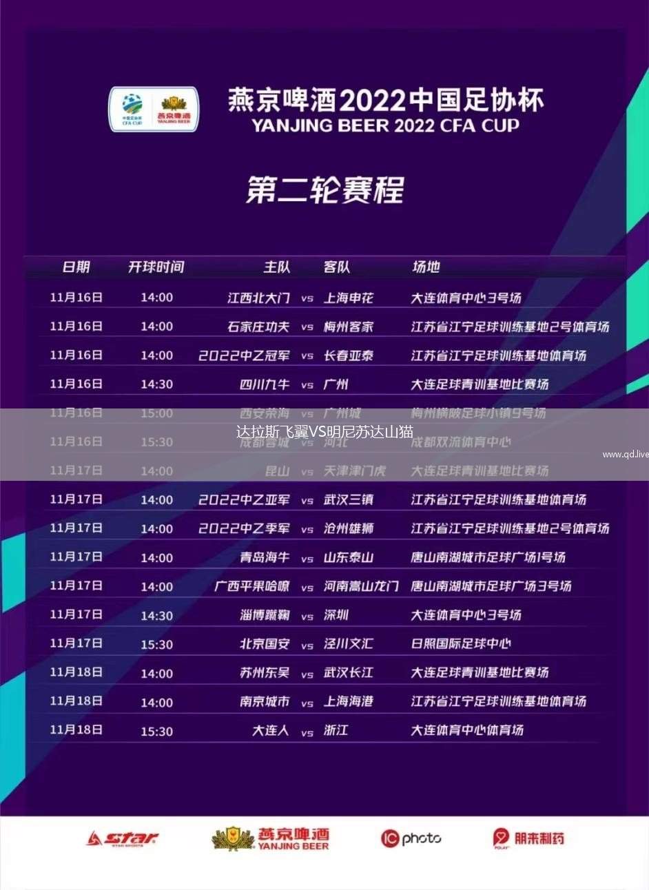 达拉斯飞翼VS明尼苏达山猫