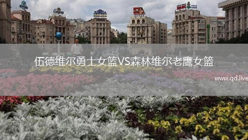 伍德维尔勇士女篮VS森林维尔老鹰女篮