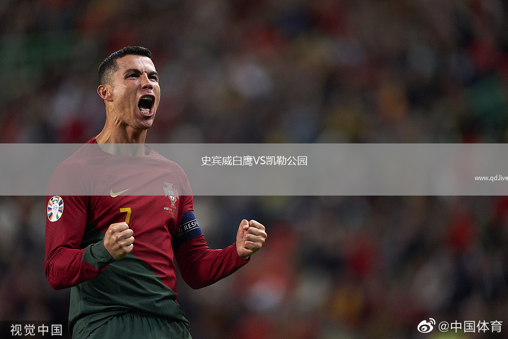 史宾威白鹰VS凯勒公园