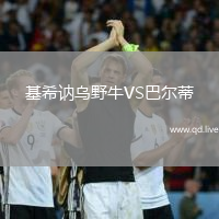 基希讷乌野牛VS巴尔蒂