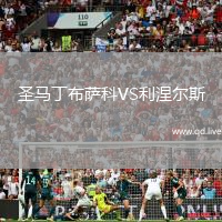 圣马丁布萨科VS利涅尔斯