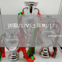 法国U17VS土耳其U17